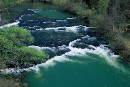 Krka živi!